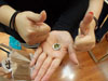 DSCN1870.jpg