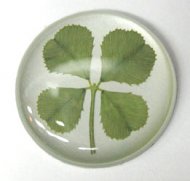 4 Leaf Clover Sticker 4 Leaf Clover Sticker